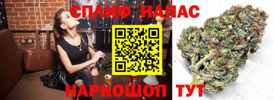 МДПВ Камышлов