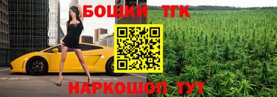 МДПВ Камышлов
