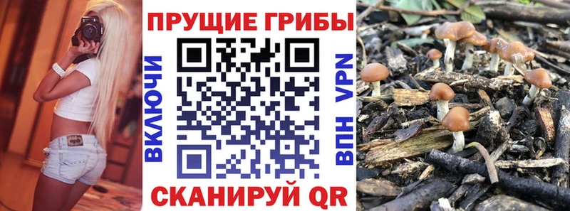 Псилоцибиновые грибы ЛСД  blacksprut ТОР  Кудымкар 