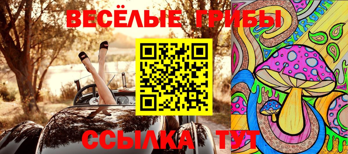 Псилоцибиновые грибы GOLDEN TEACHER Кудымкар