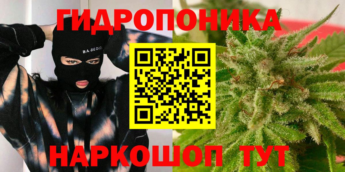 Кудымкар  Конопля сатива  Вход с VPN  Марихуана конопля  Марихуана White Widow 